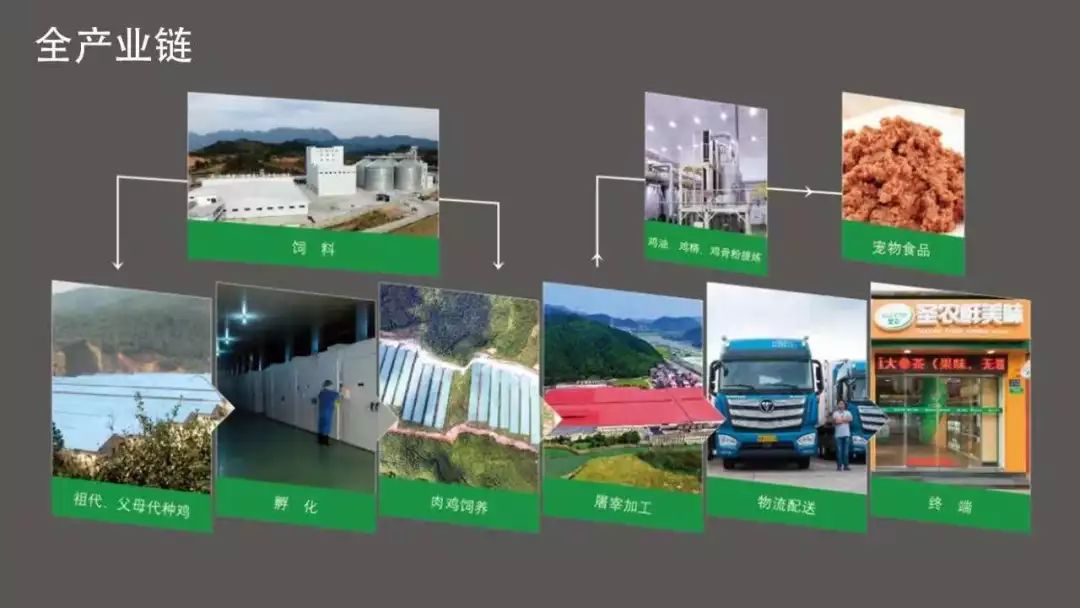 MG冰球突破试玩--手机版app官网