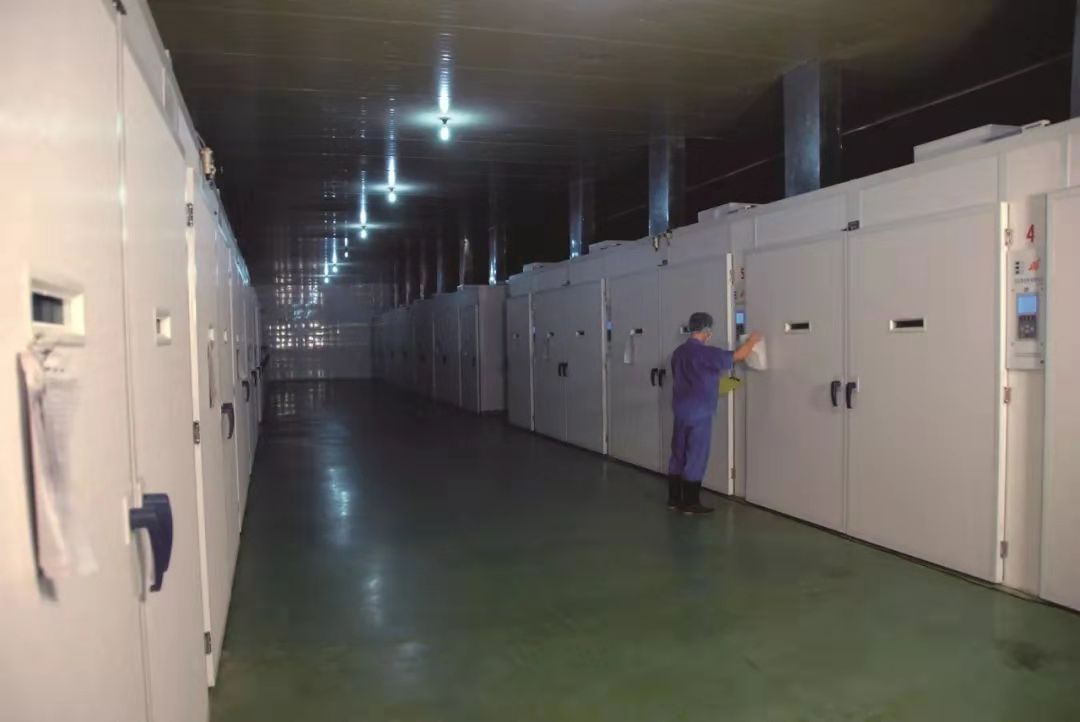 MG冰球突破试玩--手机版app官网