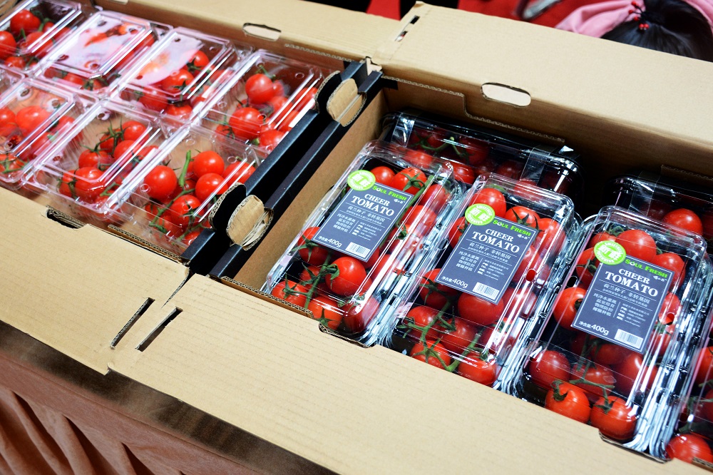 MG冰球突破试玩--手机版app官网