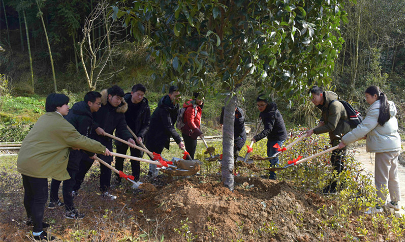 MG冰球突破试玩--手机版app官网