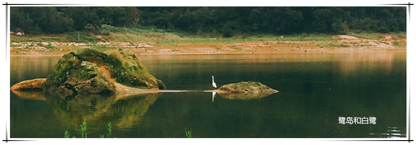 MG冰球突破试玩--手机版app官网