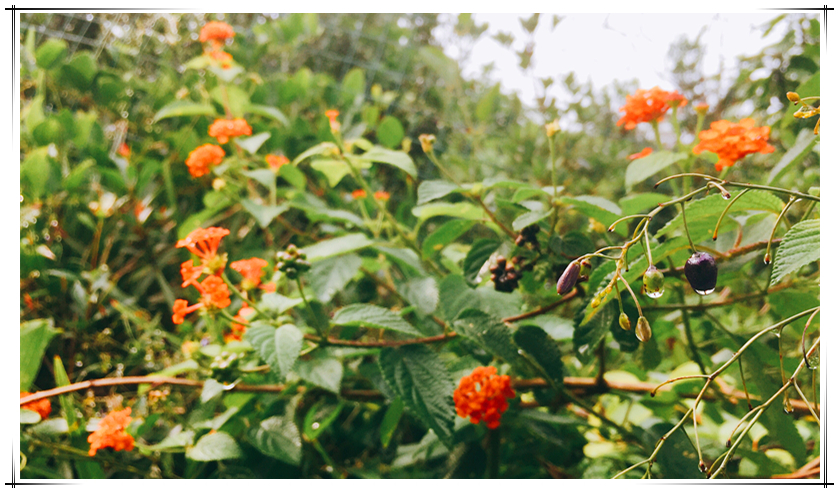 MG冰球突破试玩--手机版app官网