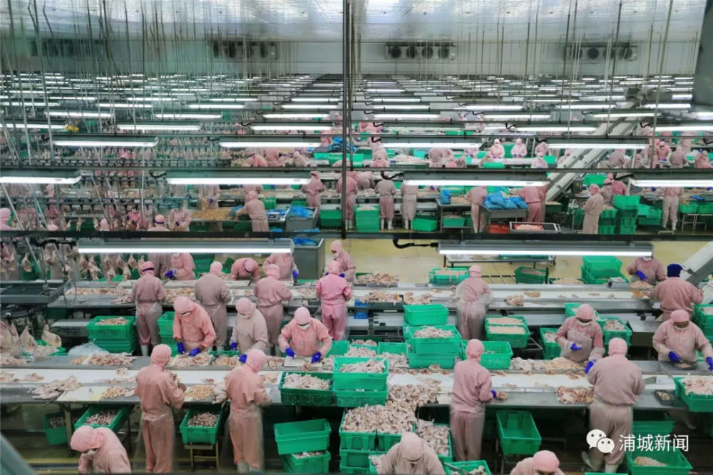 MG冰球突破试玩--手机版app官网