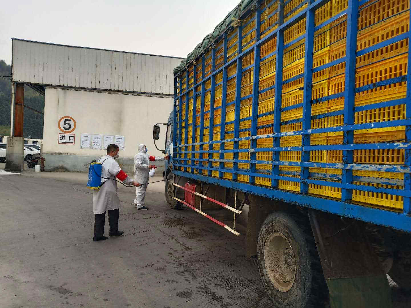 MG冰球突破试玩--手机版app官网