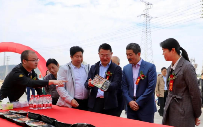 MG冰球突破试玩--手机版app官网