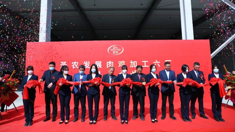 MG冰球突破试玩--手机版app官网