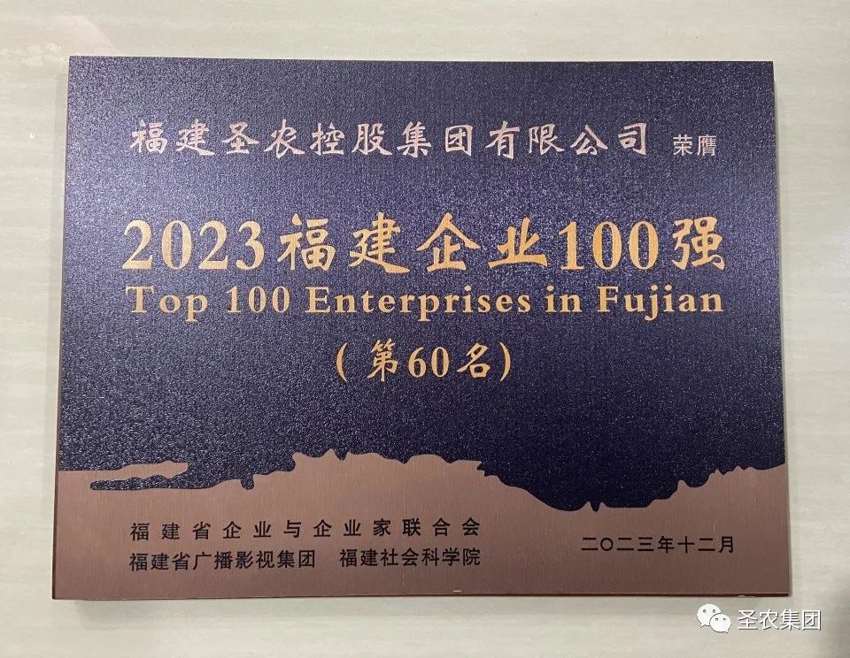 MG冰球突破试玩--手机版app官网