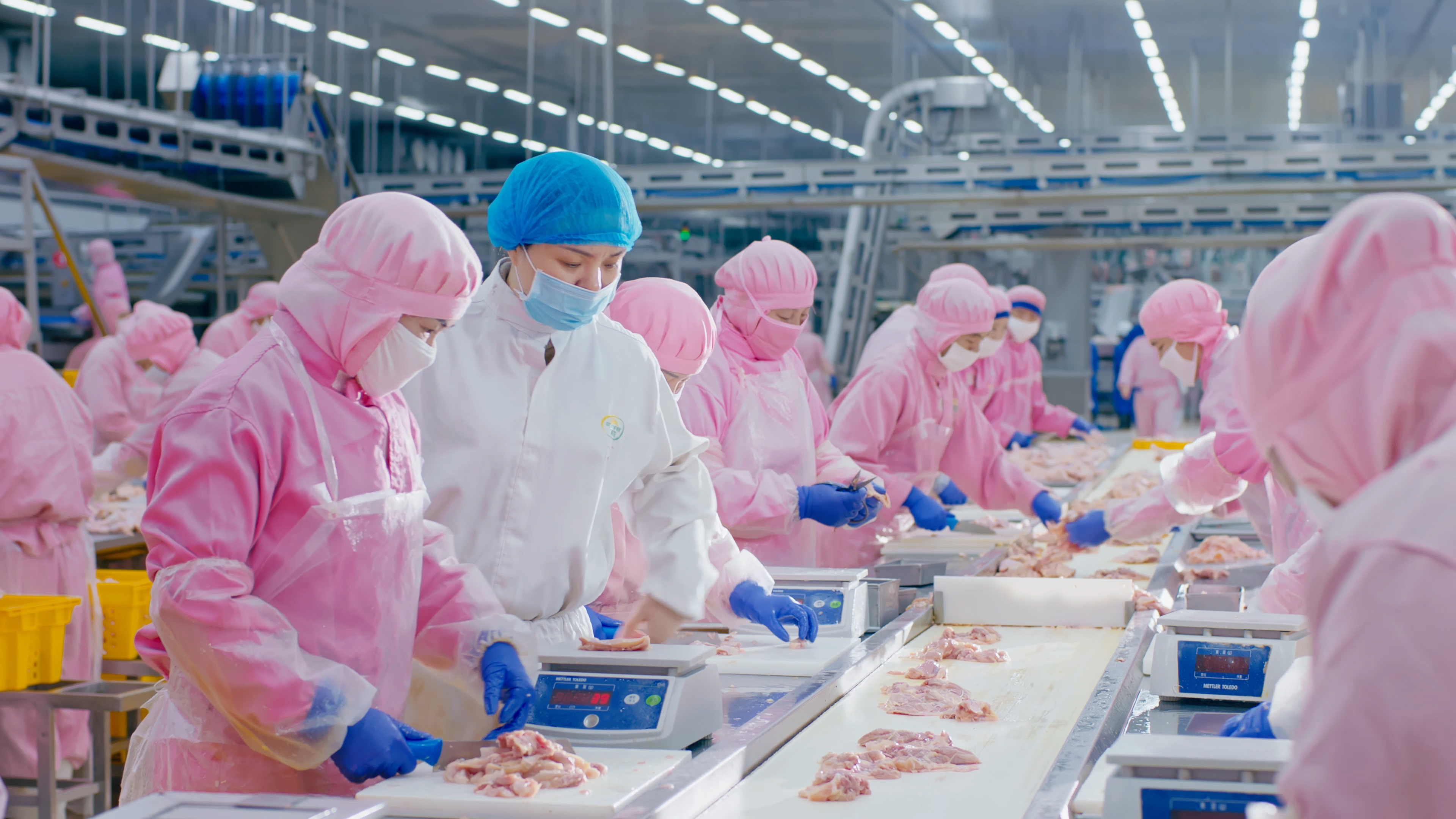 以人为本，，，，，，携手员工配合生长